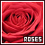Roses fanlisting